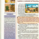 ADMITERE-STOR-P7-2017-page-001-717x1024